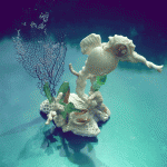 Ayale's seashell scraft of a seahorse. ANTHEA McGIBBON PHOTO.