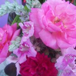PHOTO BY TAMIKA POMMELLS WILLIAMS: Flowers grown in the Ahhh! garden by Tamika Pommells Williams.